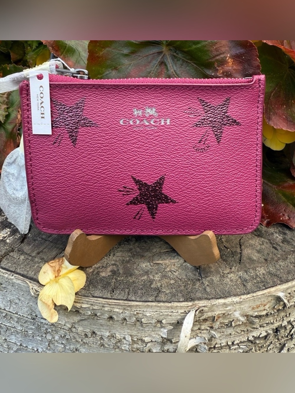 Coach NWT Star Canyon Key Pouch